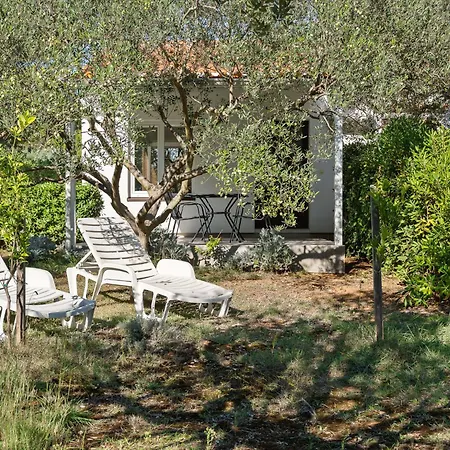 Nyaraló Ana-2 By Interhome *